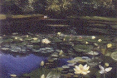 A-Still-Pond